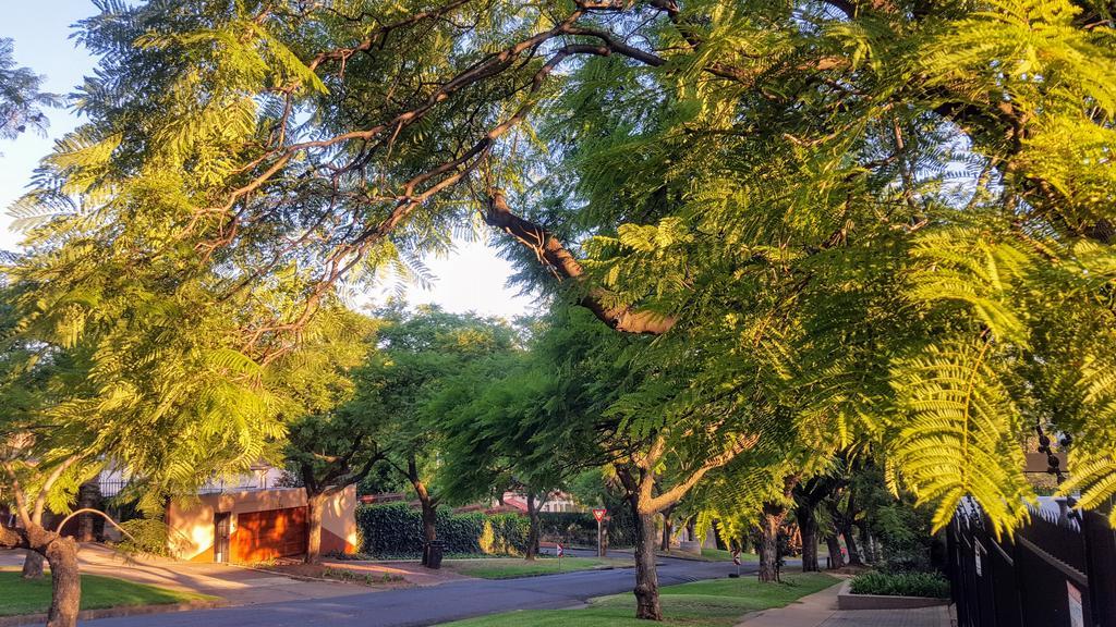 800@Merton Pretoria Ngoại thất bức ảnh
